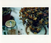 2002.jpg