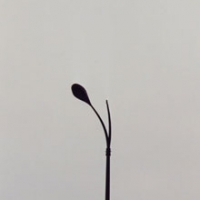 laterne3.jpg